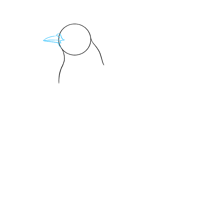 How to Draw a Blue Jay Really Easy Drawing Tutorial