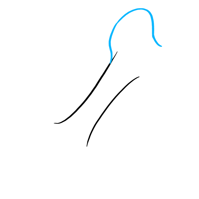 How To Draw A Dog Bone Easy Wagoner Whiden