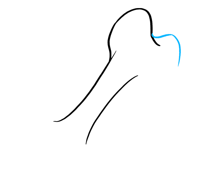 How to Draw a Dog Bone Really Easy Drawing Tutorial