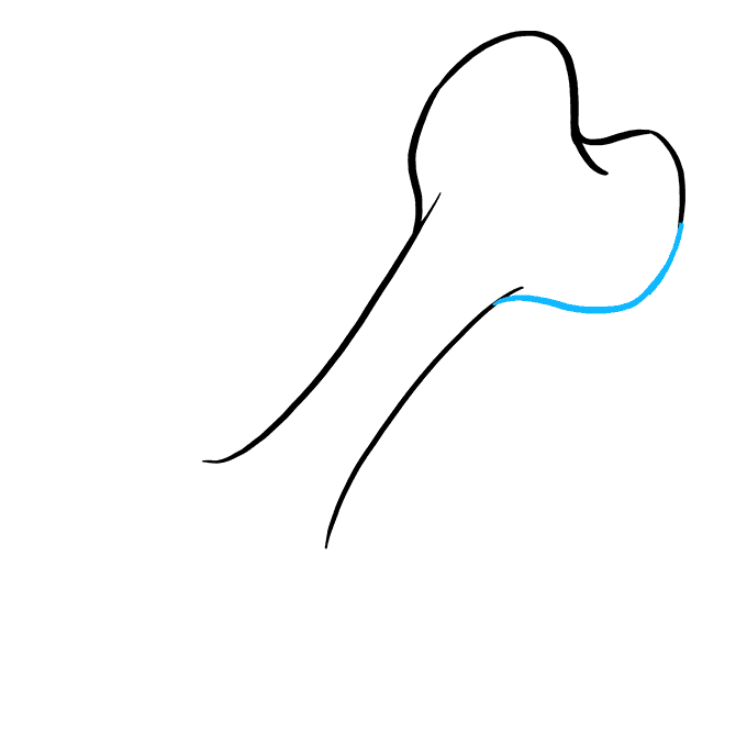 How to Draw a Dog Bone Really Easy Drawing Tutorial