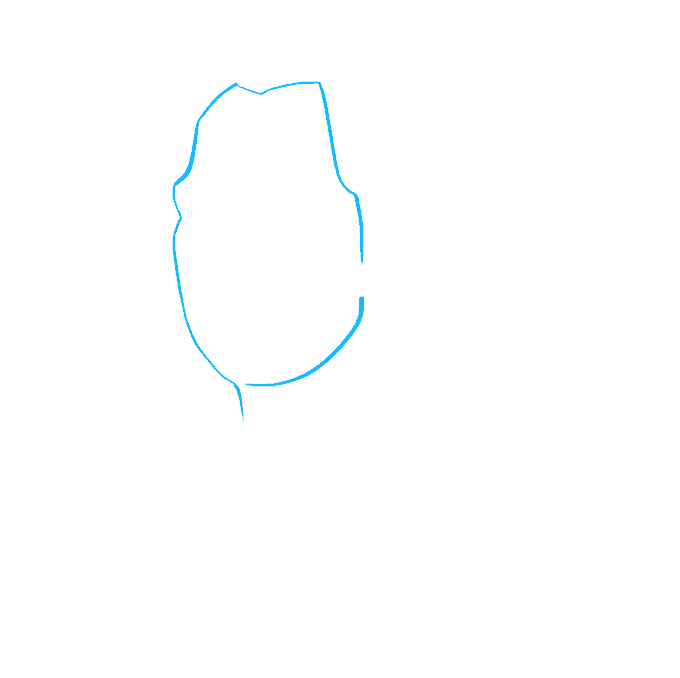 How to Draw Washington