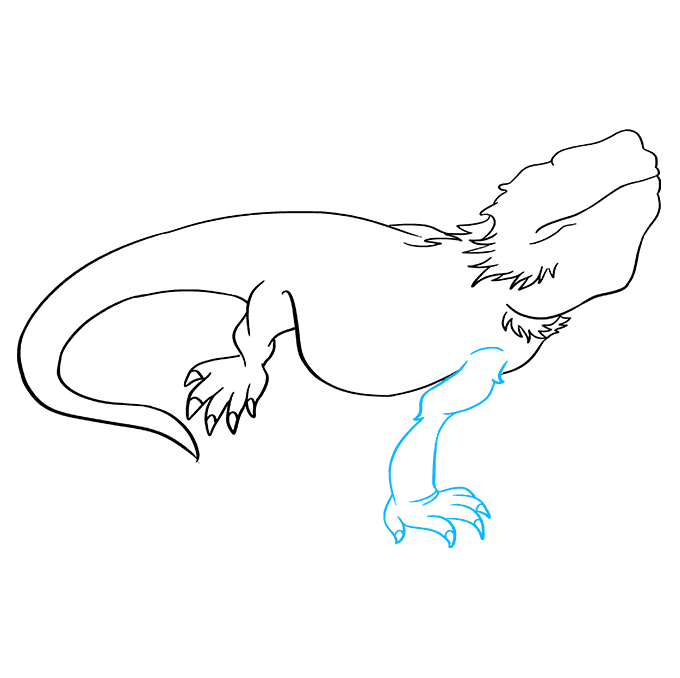 How to Draw a Bearded Dragon Lizard Really Easy Drawing Tutorial