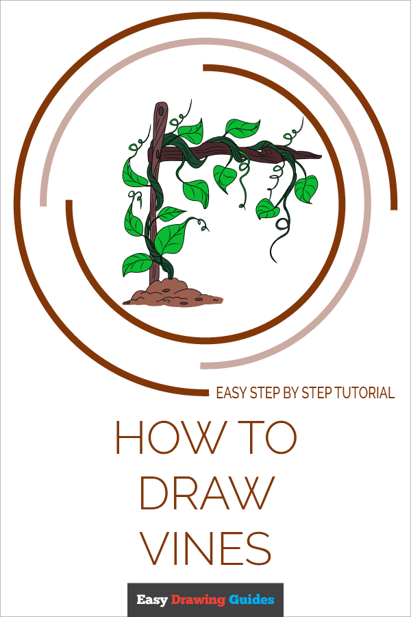 How to Draw Vines Really Easy Drawing Tutorial