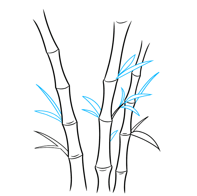 How to Draw Bamboo Really Easy Drawing Tutorial