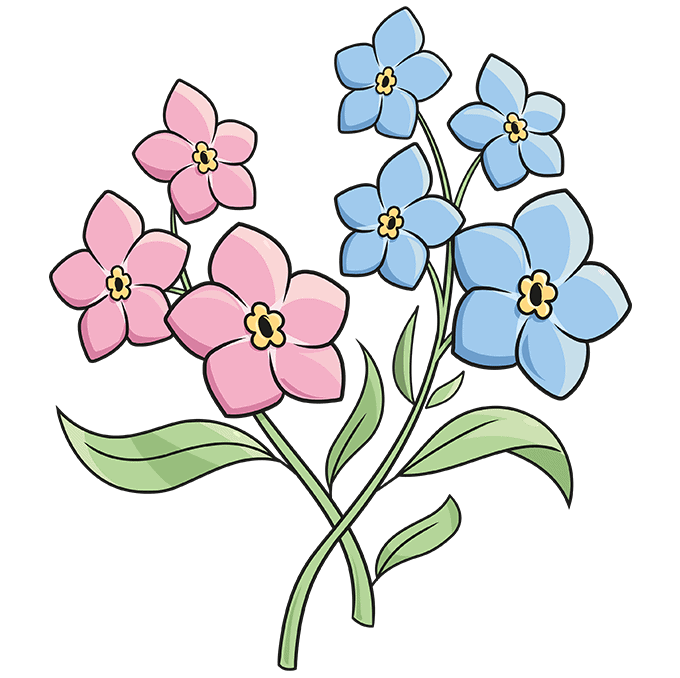 Collection 32+ Stock Photos how to draw a forget me not Excellent