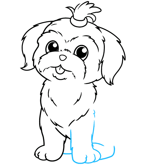 How to Draw a Shih Tzu Really Easy Drawing Tutorial