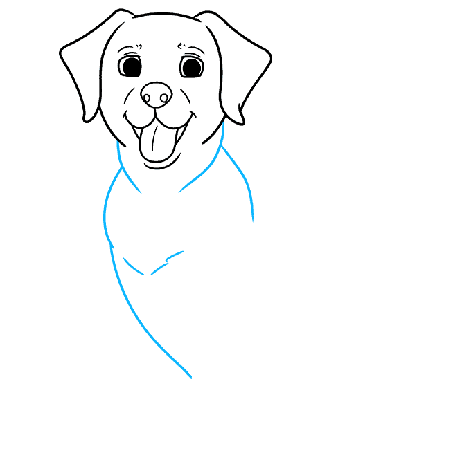 How to Draw a Labrador Really Easy Drawing Tutorial