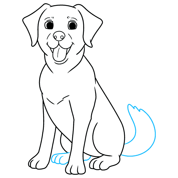 How to Draw a Labrador Really Easy Drawing Tutorial