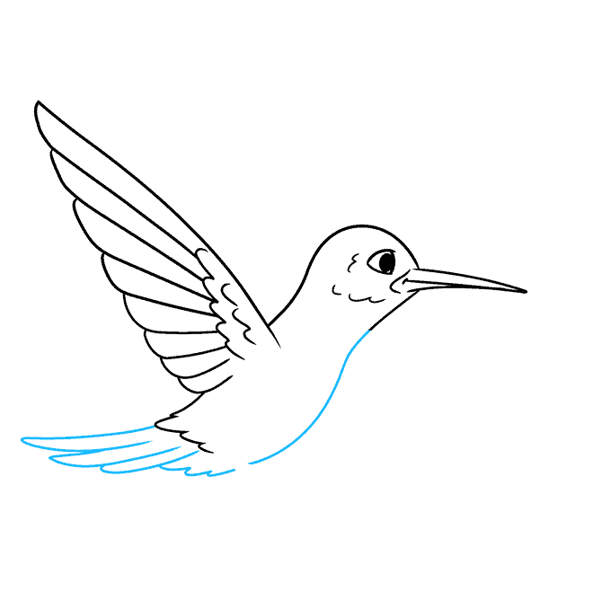 How to Draw a Hummingbird Really Easy Drawing Tutorial