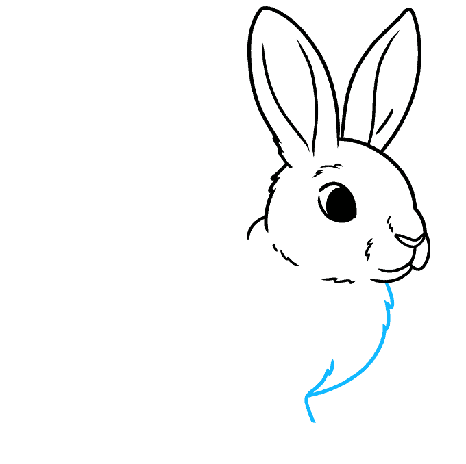 How to Draw a Rabbit Really Easy Drawing Tutorial