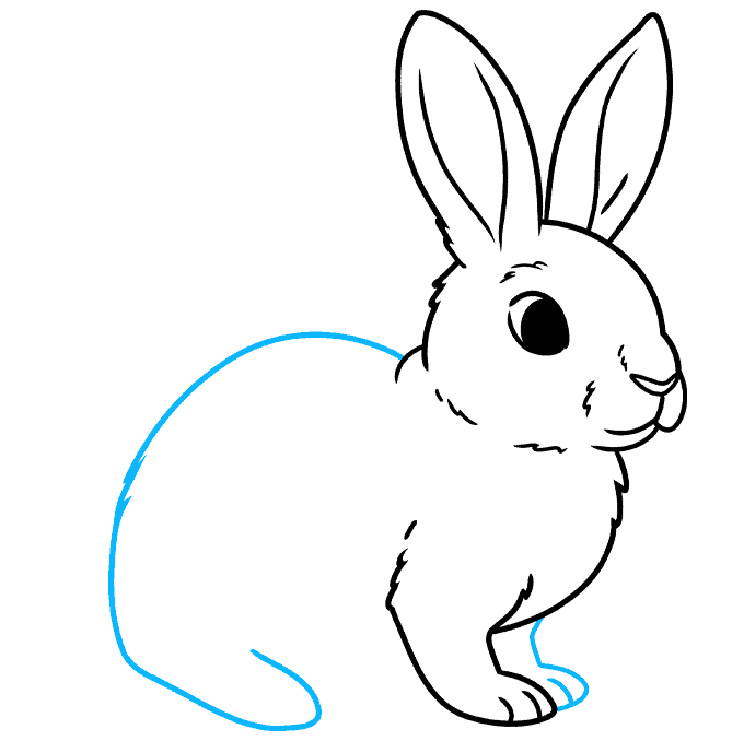 How to Draw a Rabbit Really Easy Drawing Tutorial