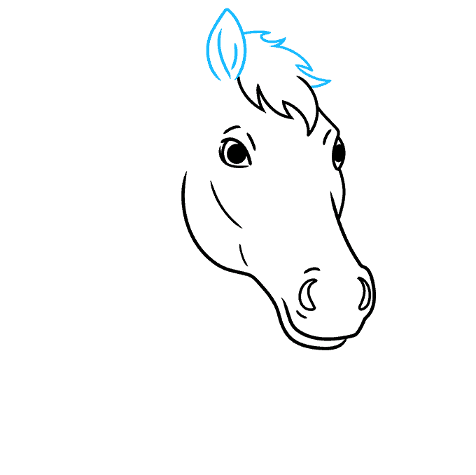 How to Draw a Horse Head Really Easy Drawing Tutorial