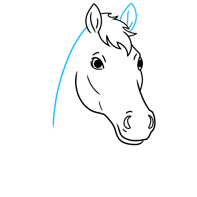 How to Draw a Horse Head Really Easy Drawing Tutorial