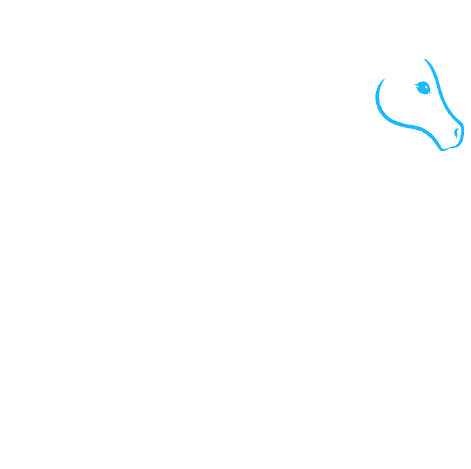 How to Draw a Horse Outline Really Easy Drawing Tutorial