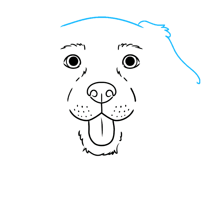 How to Draw a Dog Head Really Easy Drawing Tutorial