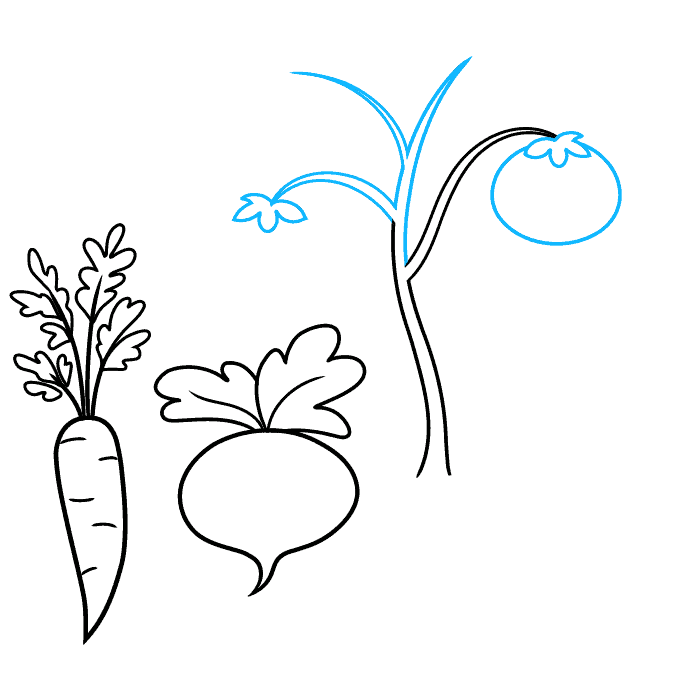 How to Draw Vegetables Really Easy Drawing Tutorial