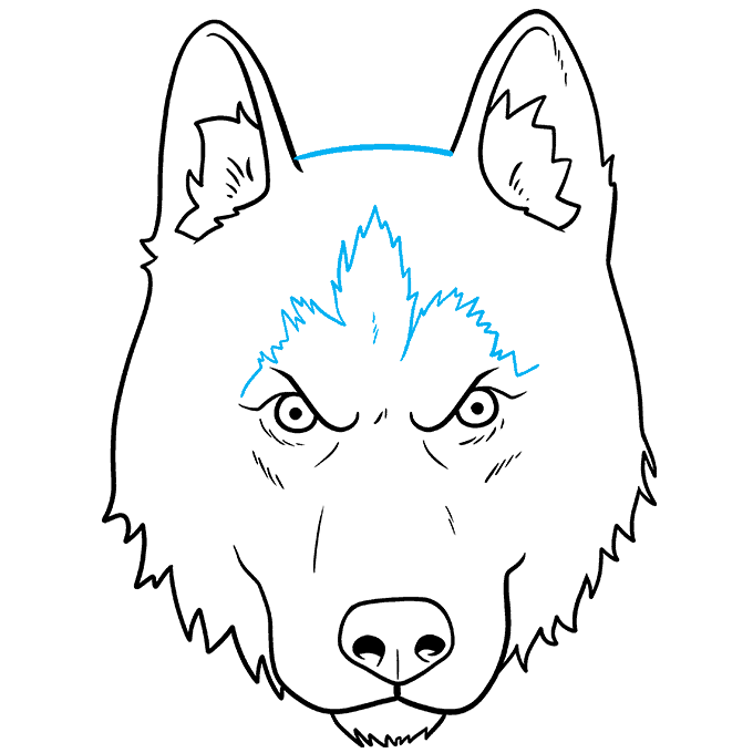 How to Draw a Husky Face Really Easy Drawing Tutorial