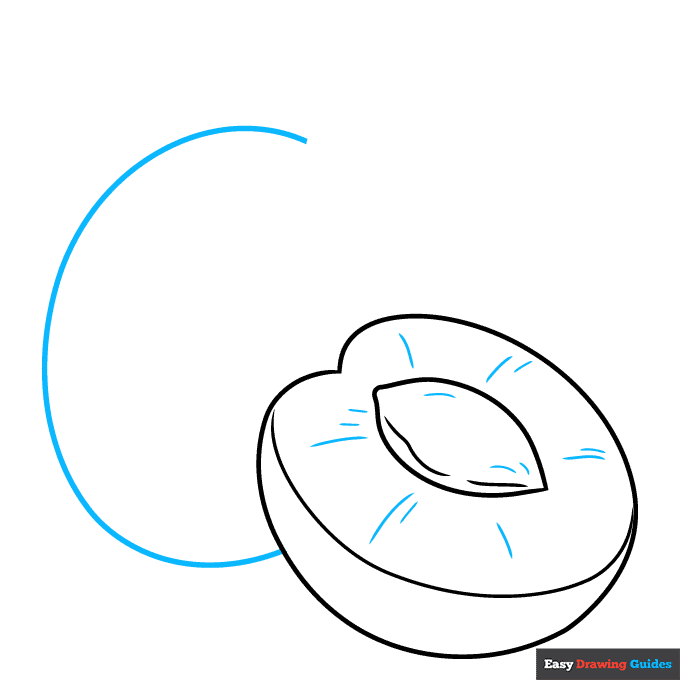 How to Draw an Apricot Really Easy Drawing Tutorial