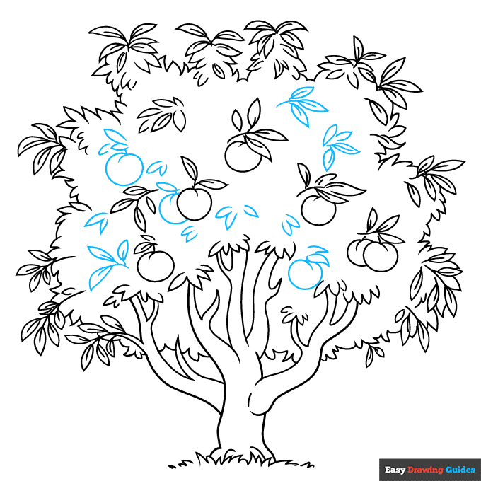 How to Draw a Peach Tree Really Easy Drawing Tutorial