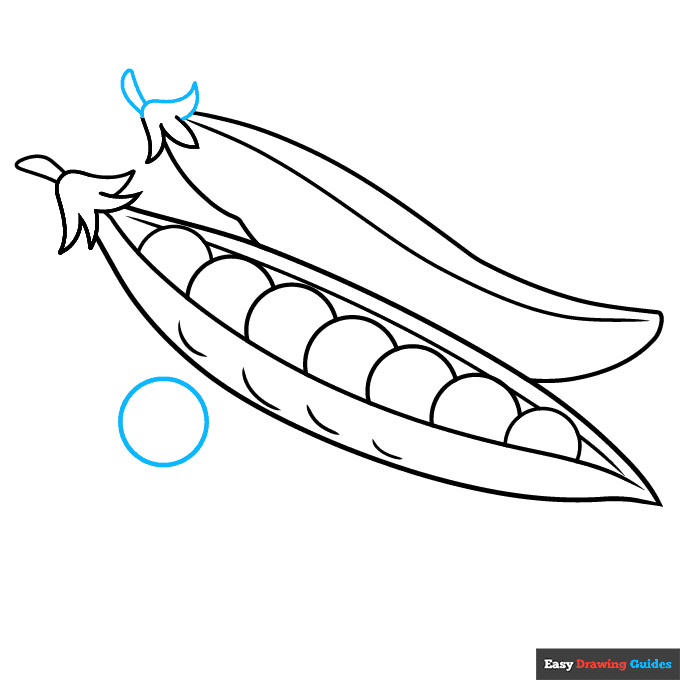 How to Draw Peas Really Easy Drawing Tutorial
