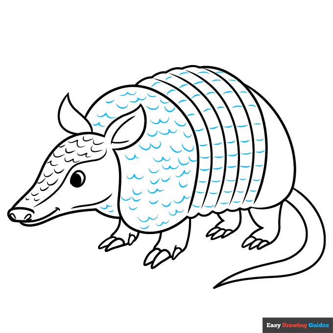 How to Draw an Armadillo Really Easy Drawing Tutorial