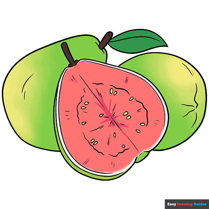 How to Draw a Guava Really Easy Drawing Tutorial