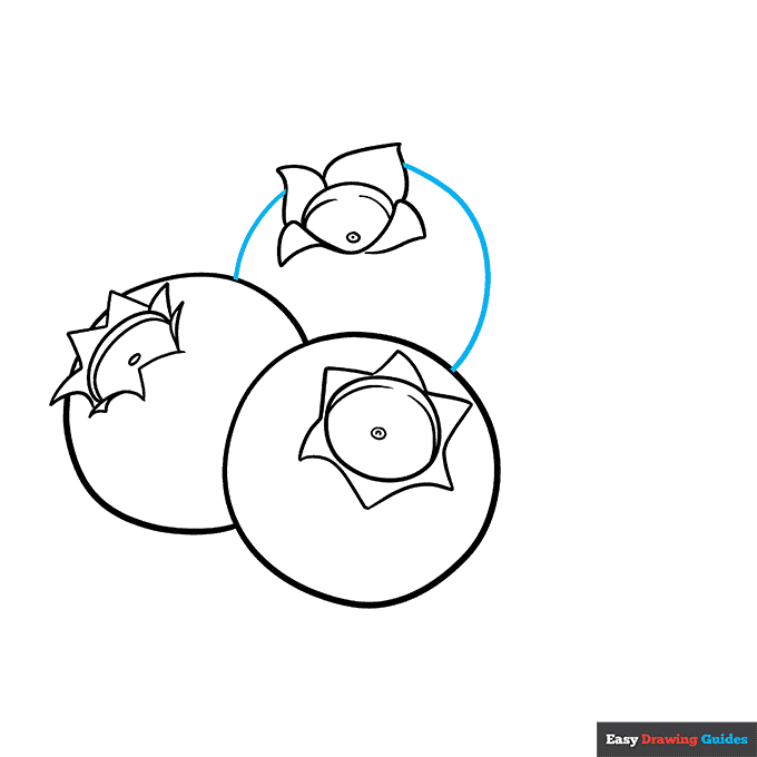 How to Draw a Blueberry Really Easy Drawing Tutorial