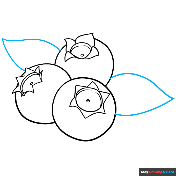How to Draw a Blueberry Really Easy Drawing Tutorial