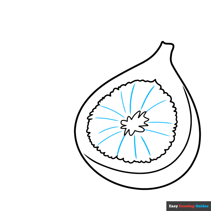 How to Draw a Fig Really Easy Drawing Tutorial
