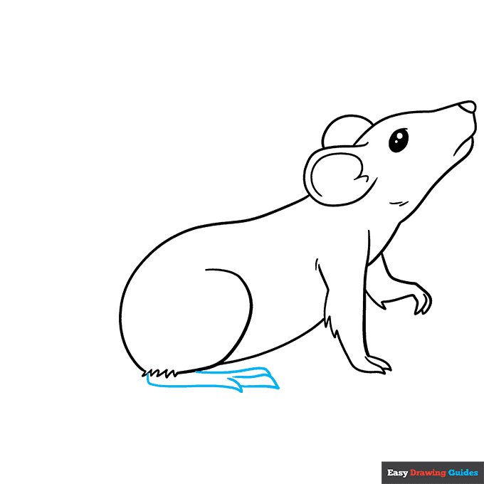 How to Draw a Rat Really Easy Drawing Tutorial