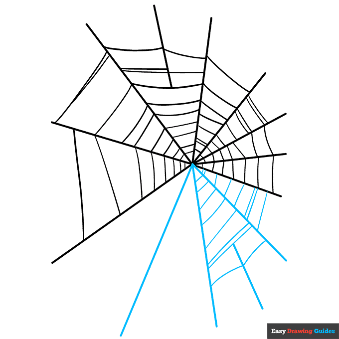 How to Draw a Spider  with Spider Really Easy Drawing Tutorial