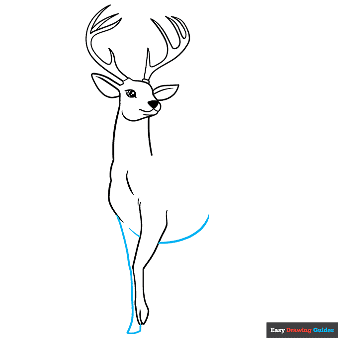 How to Draw a Deer Really Easy Drawing Tutorial