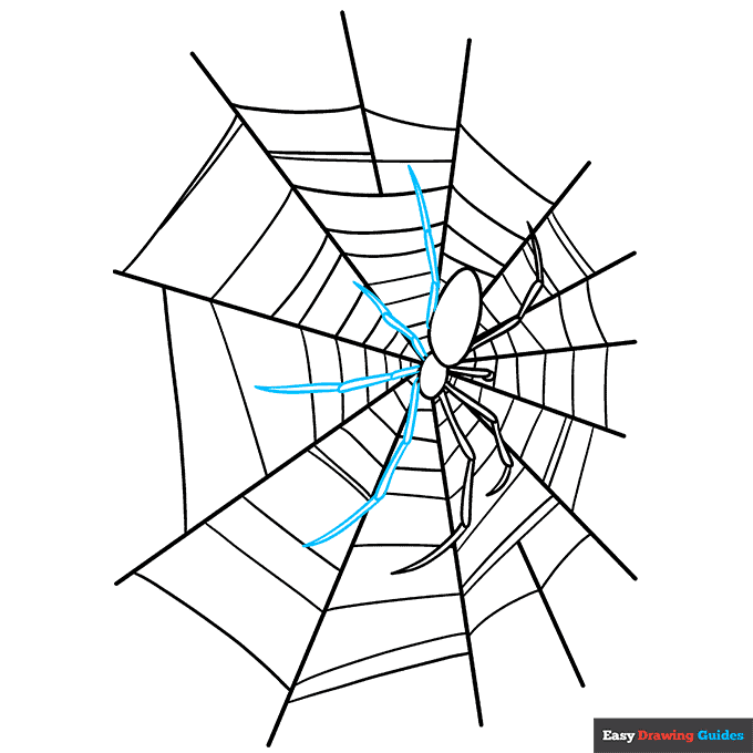 How to Draw a Spider  with Spider Really Easy Drawing Tutorial