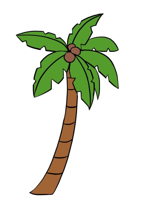 Easy Palm Tree StepbyStep Tutorial Easy Drawing Guides