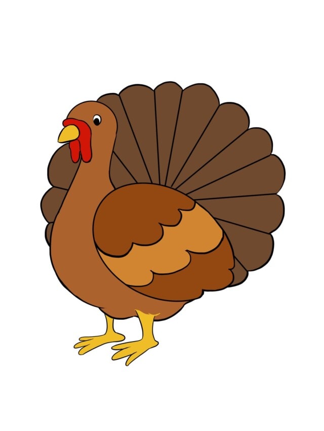Easy Turkey StepbyStep Tutorial Easy Drawing Guides