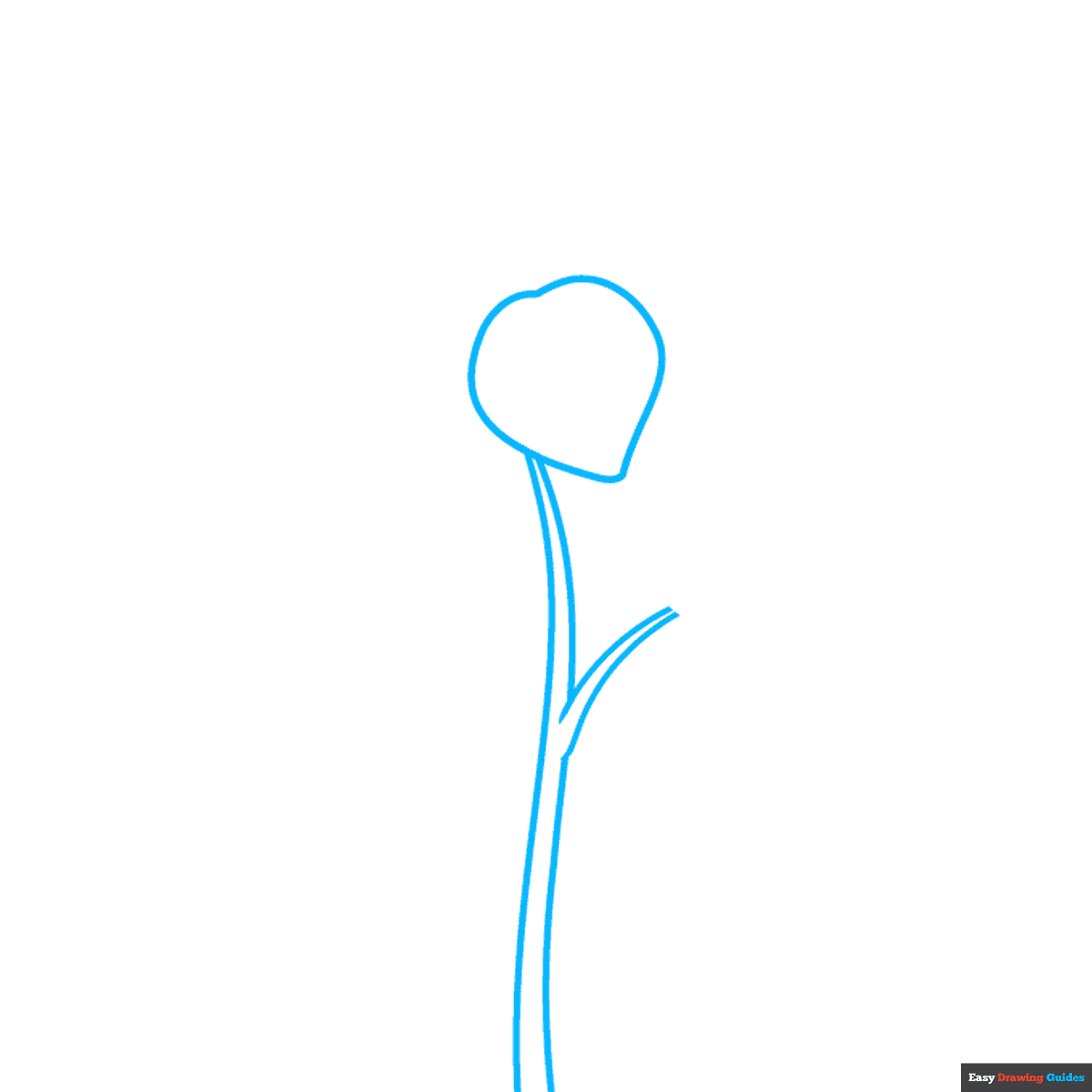 How to Draw an Azalea Really Easy Drawing Tutorial