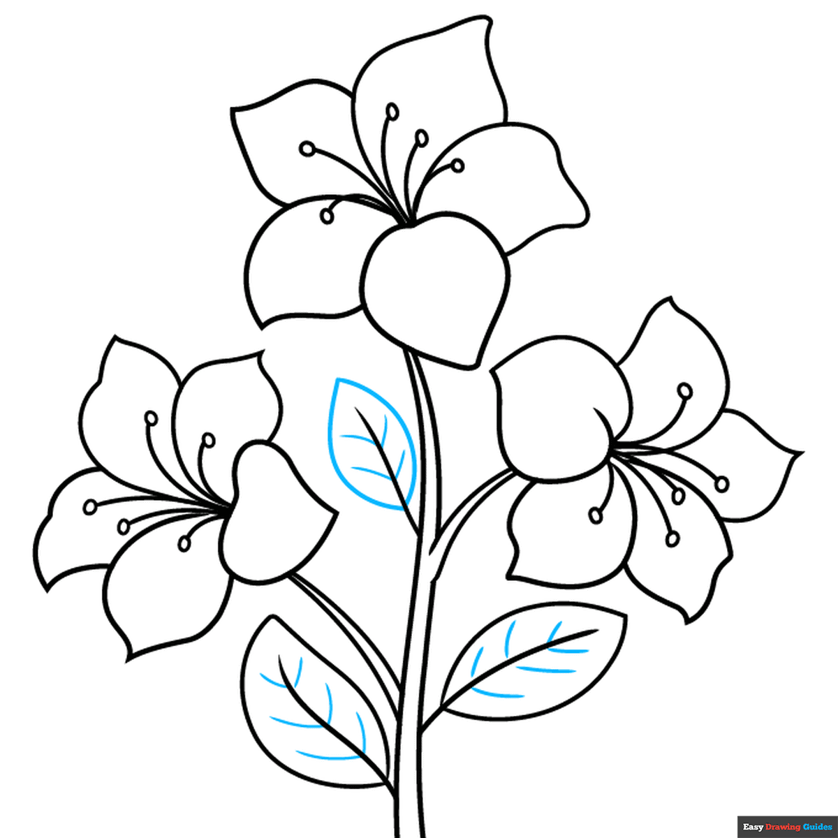 How to Draw an Azalea Really Easy Drawing Tutorial