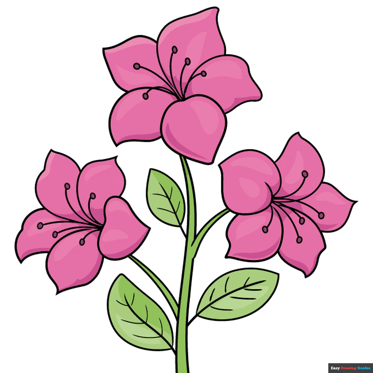 How to Draw an Azalea Really Easy Drawing Tutorial