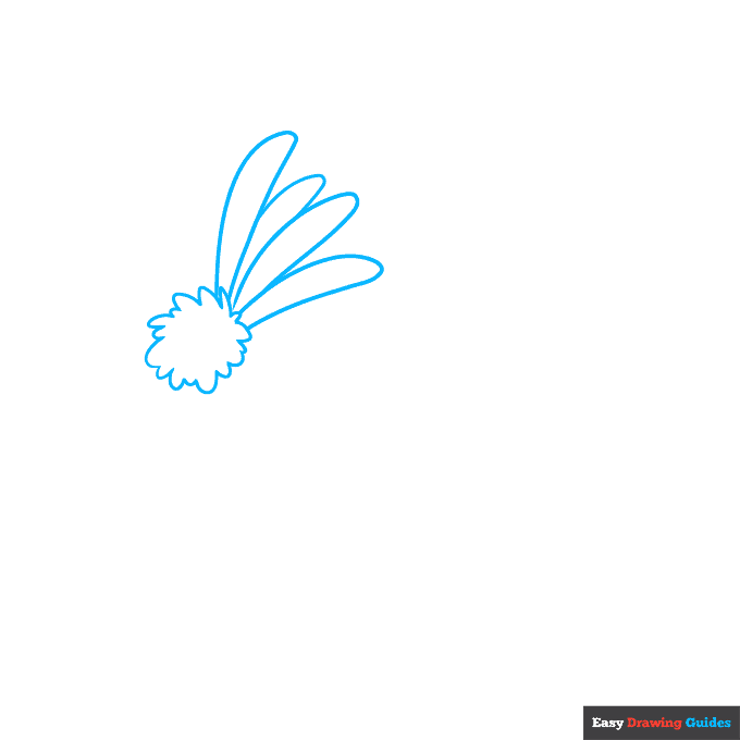 how to draw a aster flower