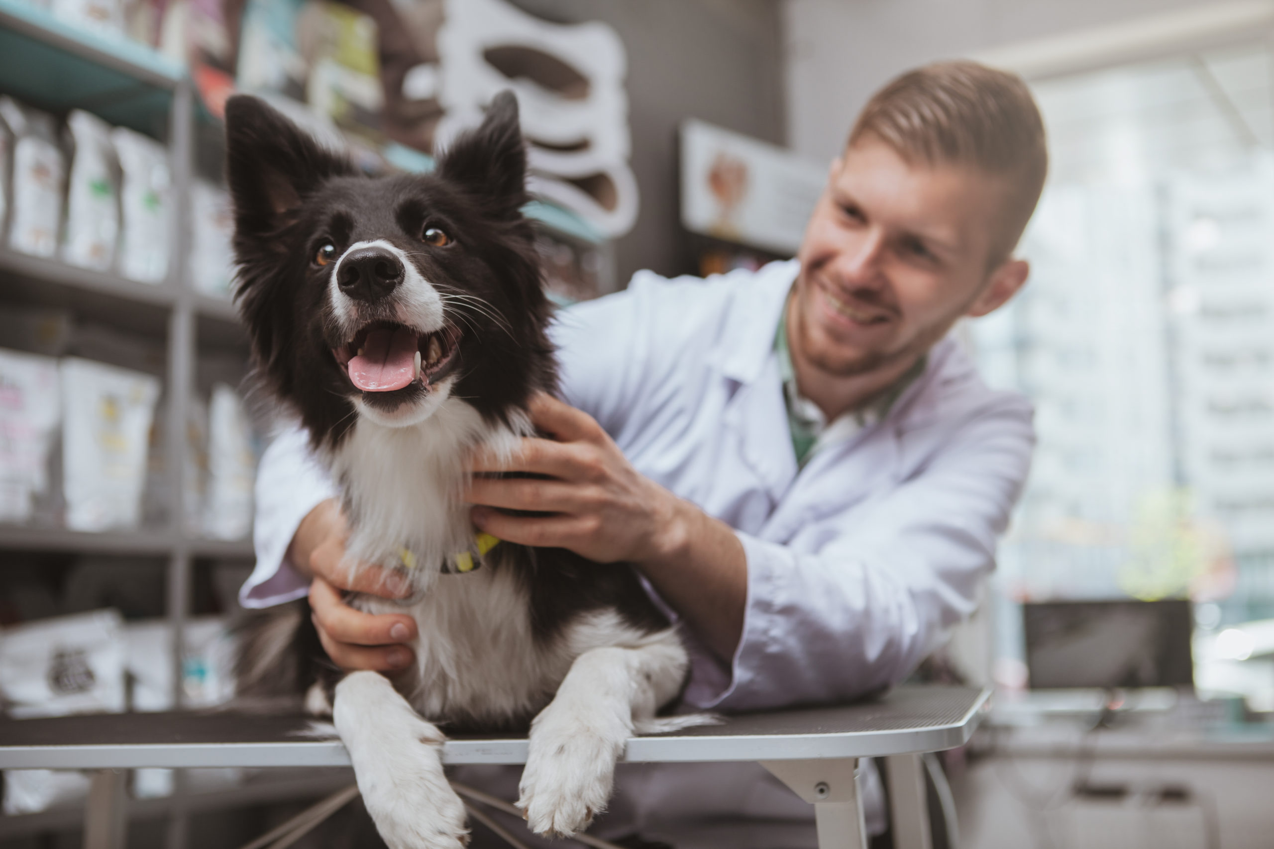Pet Medication Discounts Save Money on Pet Meds with Easy Drug Card