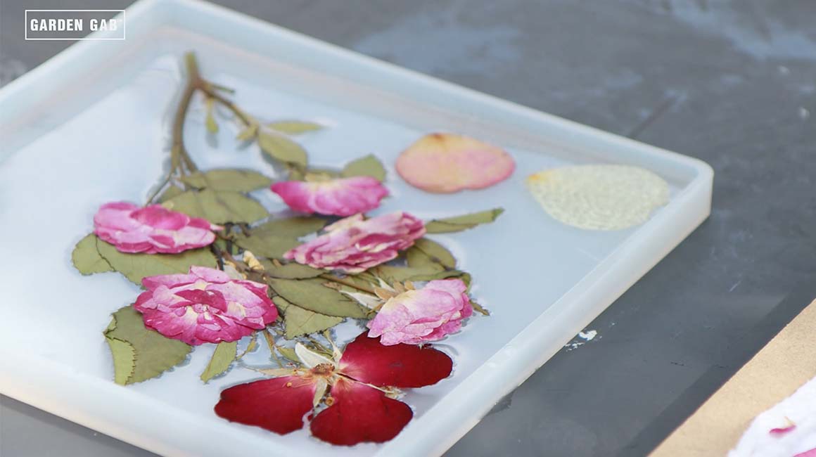 Garden Gab™ Preserving Roses in Resin Easy Elegance