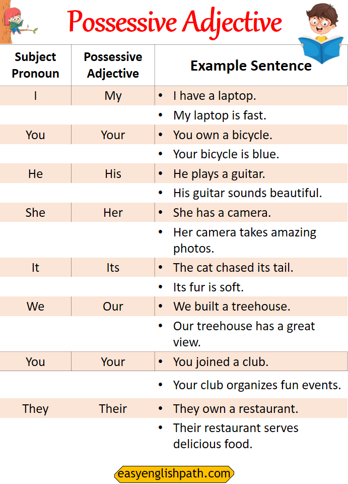 Mastering Possessive Adjectives Types and Examples in English