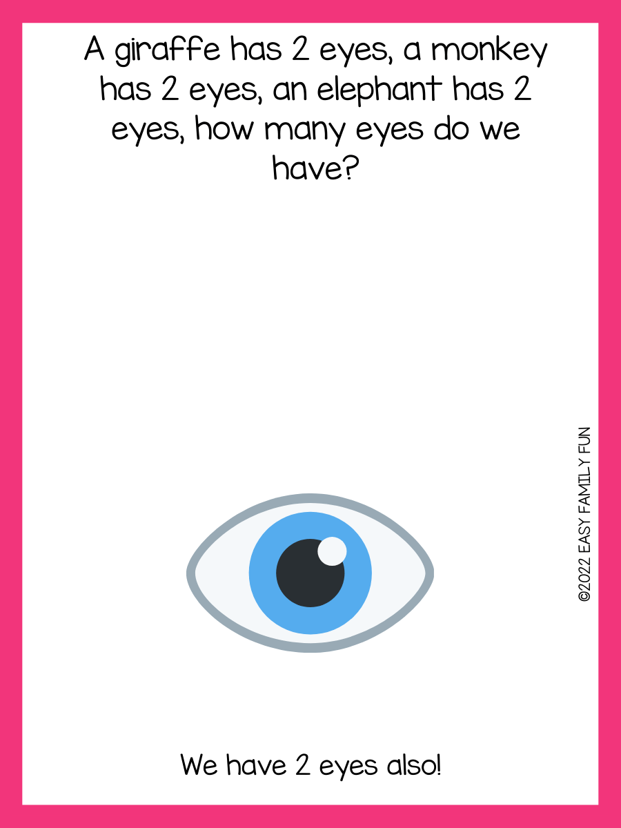 45 Riddles For Eyes Easy Family Fun Games, Trivia, and Jokes