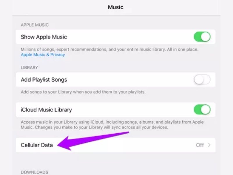 Apple Music Not Playing Downloaded Songs Here's How To Pay Them