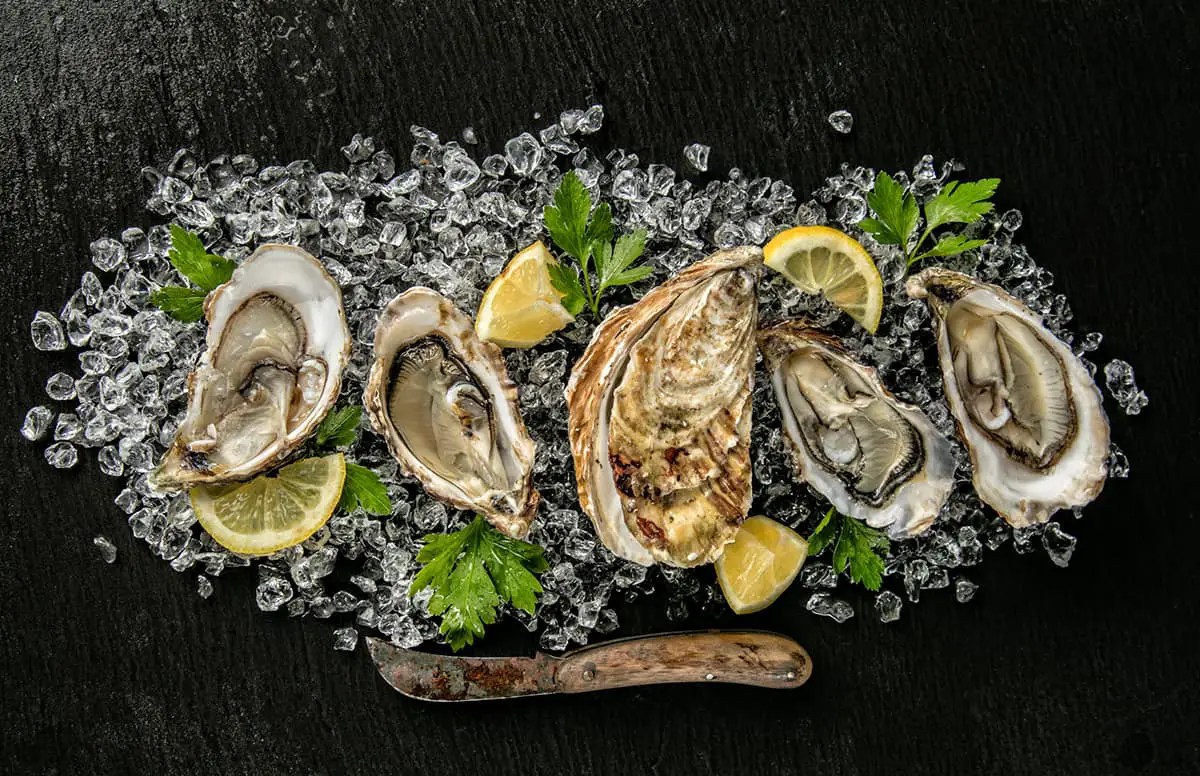 Freezing Oysters The Right Way (5 Easy Steps) Easy Freezing