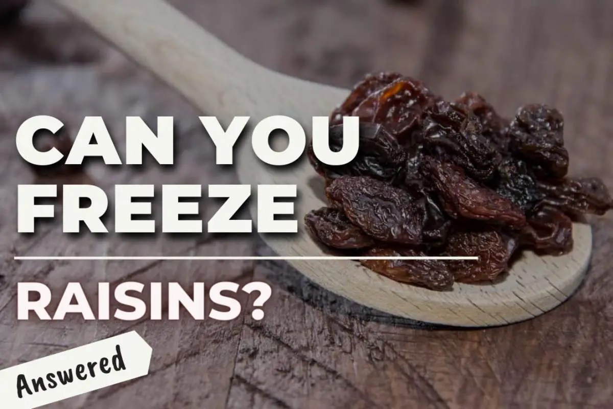 Can You Freeze Raisins? (Everything You Need to Know) Easy Freezing
