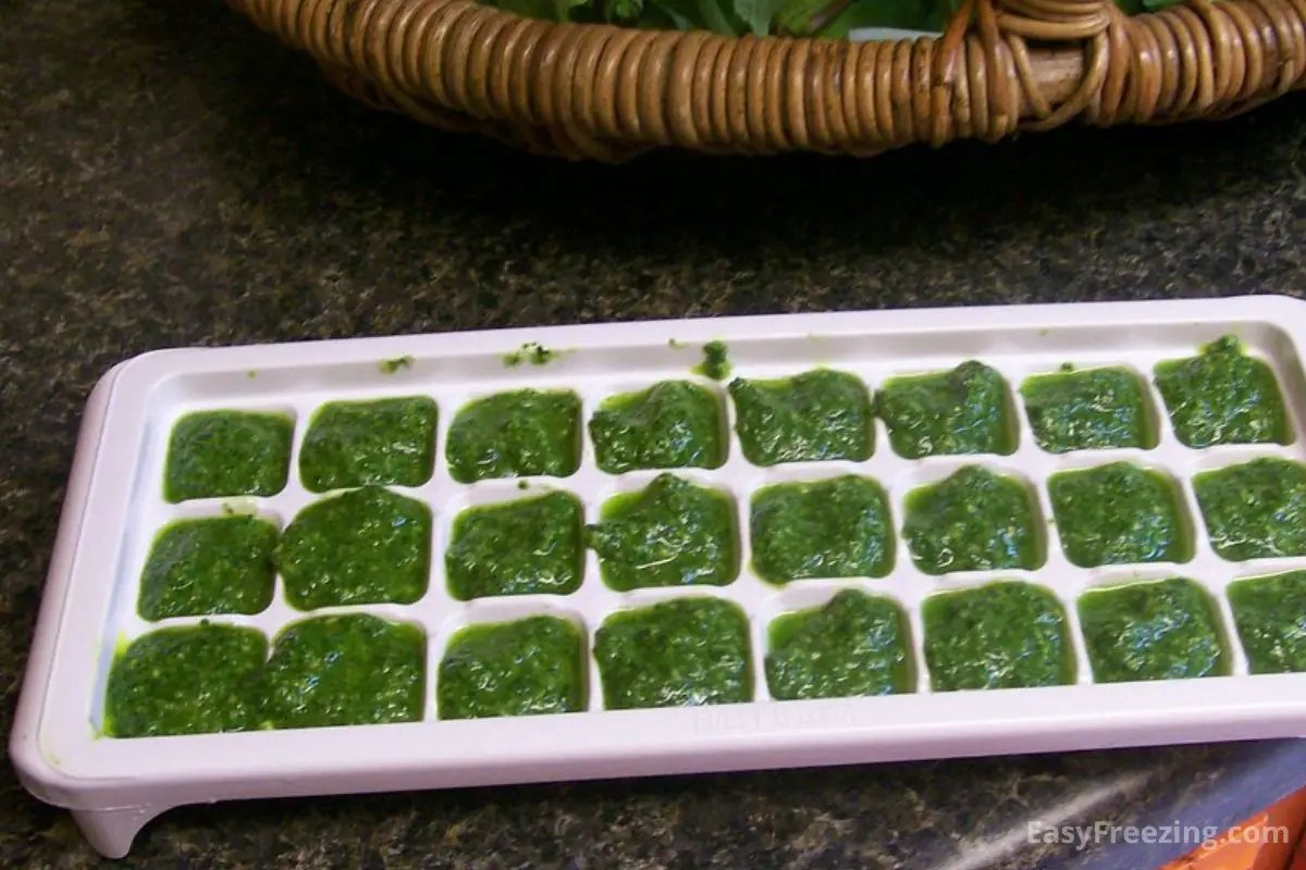 Can You Freeze Pesto? (Yes…Here’s How!) Easy Freezing