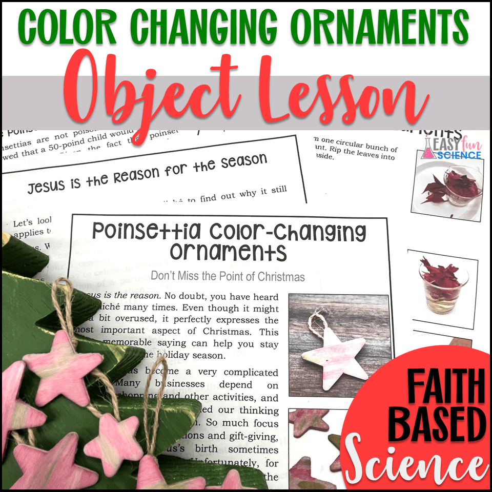 Christmas Science ColorChanging Poinsettia Ornaments Object Lesson