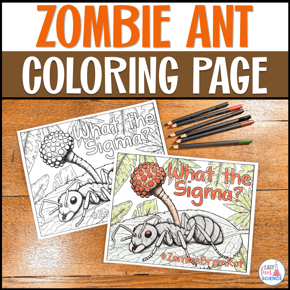 What the Sigma? Zombie Animals Coloring Page Easy Fun Science