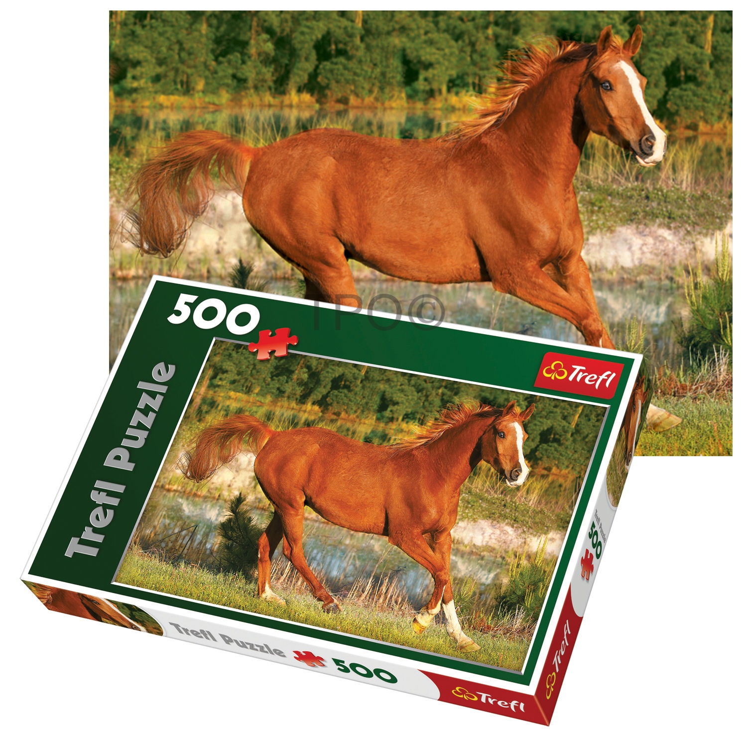 Trefl 500 Piece Adult Large Floor Horse Beauty Field Gallop Jigsaw